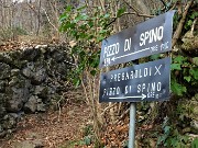 94 A questo punto, salito dal sent. 594 di sx, rientro da quello di dx, chiudendo l'anello della cima del Pizzo di Spino